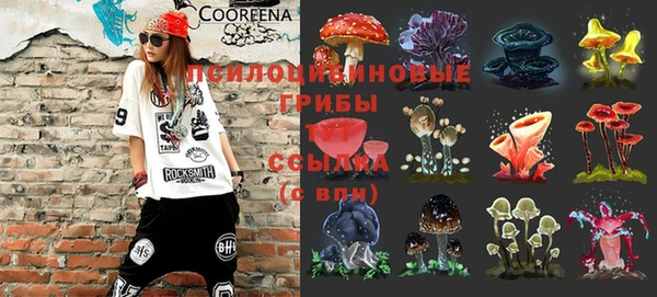 ПСИЛОЦИБИНОВЫЕ ГРИБЫ Красноперекопск