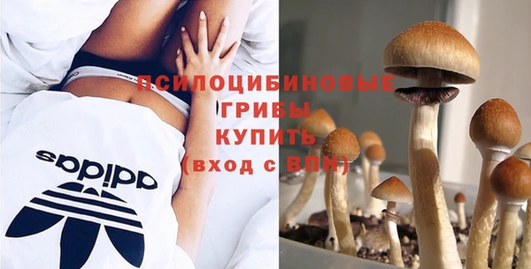 МДМА Краснослободск